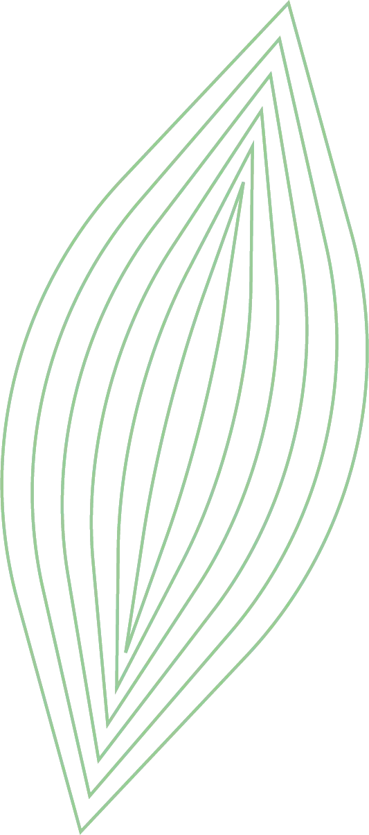 Feuille contour VC Feuille contour VC
