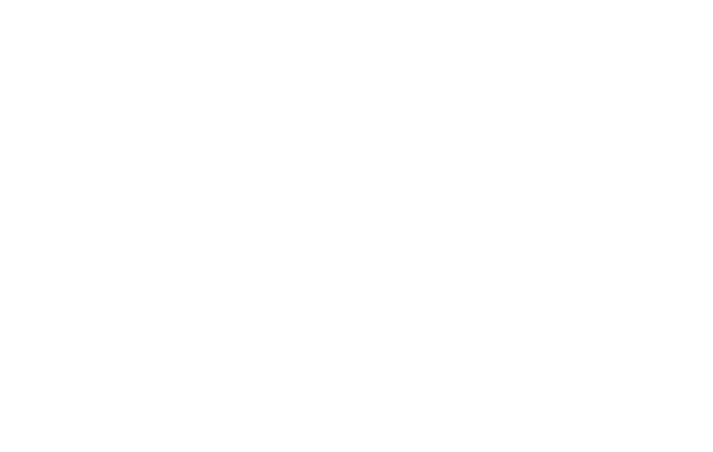 logo-blanc-TyZen
